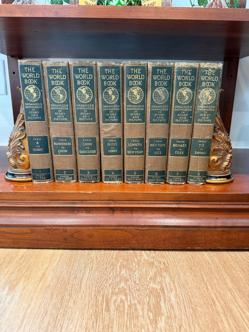 World Book 1918 Complete 8 Vol Set 1st Edition Antique Encyclopedia Illustrated